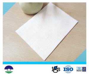 Quality Non Woven Geotextile Drainage Fabric Flexible For Power Plant PET 250GSM wholesale