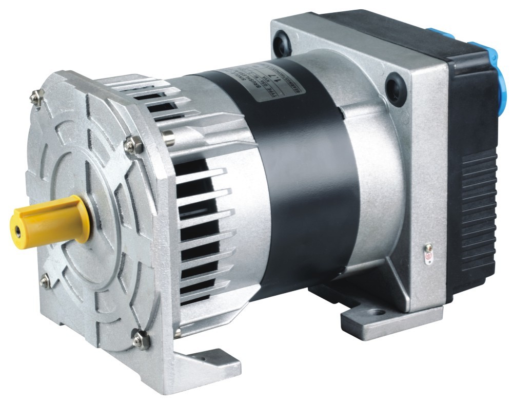 AC Selft-Exciting Alternator High Output Alternator Single-Phase Dynamo 5KW DC8.0A12V