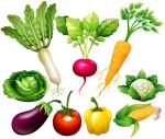 Commercial Industrial Bubble Fruit Avocado Mango Vegetable Potato Washing