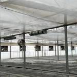 Multi-Span Film Greenhouse for Cultivation 20.000kg Package Gross Weight Easy