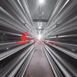 Automatic Poultry Battery Cage System Centralized Management Quail Battery Cage