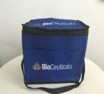 Promotional non-woven ice cream cooler bag/Ice pack/Ice bag