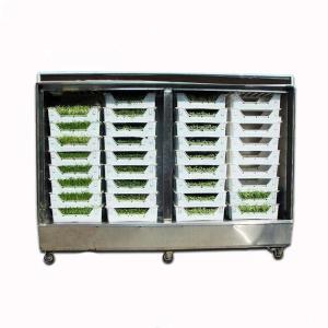 Quality Livestock Hydroponic Fodder Machine Barley Growing Automated Fodder System wholesale