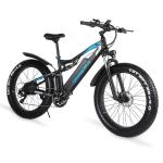 48V 17Ah 1000W Electric Fat Tire Bike 7 Speed Double Suspension Electric Bike