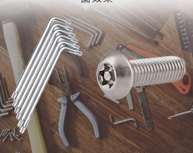 DIN Standard 304 Stainless Steel Torx Round Pan Head With Pin Anti Theft Security Screws Six Lobe Button Head Tamper Proof Bolts