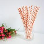Fda Certificates Decorative Paper Straws Environmentally Friendly Beverage