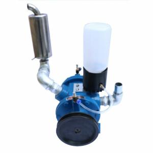 Quality Milking Machine Parts 300L Delaval Vacuum Pump Perfect Addition to Dairy Farm wholesale