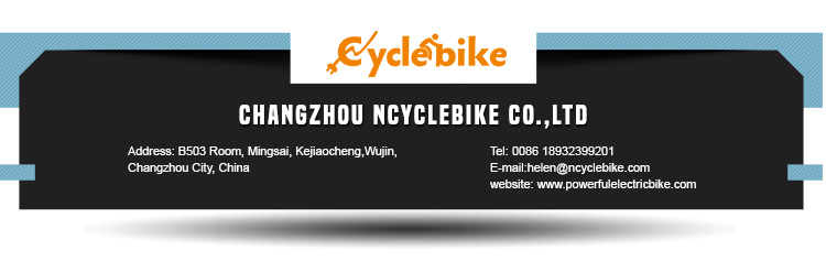 26 Inch 1000w Fat Electric Bicycle Kit 26x4.0 Kenda Tyre High Speed 50km/h
