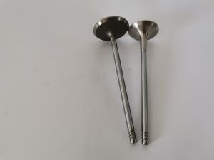 Quality FIAT FIRE 1.4L 8V EVO car diesel Exhaust Valve 4257EC Engine Spare Parts wholesale