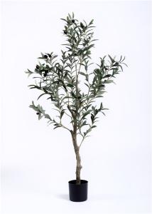 Quality Hand Crafted Olive Tree Bonsai Indoor Indoor Decoration Bright Spot Color Change wholesale