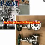 JIS 20K cast steel rising gate valve