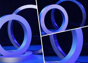 Quality Wear Resistance Tungsten Carbide Seal Rings wholesale