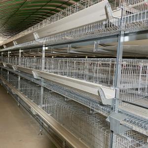 Quality 90 Layer Chicekns HDG Battery Layer Chicken Cage System H wholesale