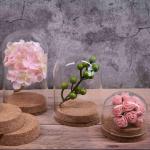 ISO9001 Small Borosilicate Glass Dome Cork Base Eco Friendly