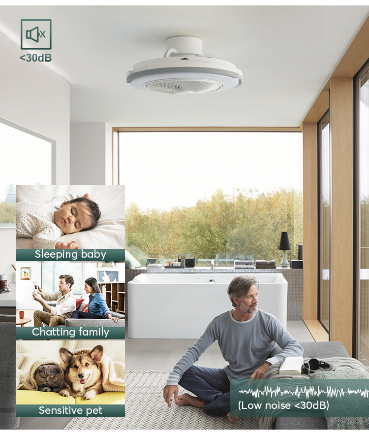20 Inch 220V High Airflow Flush Mounted LED Ceiling Fan with Light Bedroom