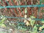 Durable Powder Coated Mesh Panels , 868 High Security Wire Fence Simple