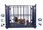 2*3M Digital 10T Cattle Weighing Scales With Frame