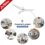 2022 Design 52 inches LED Lighting Ceiling Mounted Fan with Metal Lamp Body
