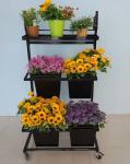 Shop Metal Flower Display Stands 445X795X1160mm Electric Zinc Finishing