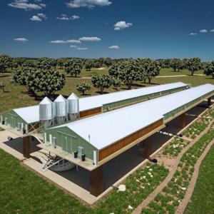 Quality Prefab Automatic Steel Structure Chicken House / Chicken Coop Steel Frame House wholesale