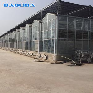 Quality Solar Polycarbonate Sheet Greenhouse / Agricultural PC Sheet Greenhouse wholesale