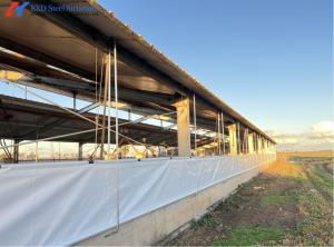 Quality Easy Build Piggery Shed Construction Steel Structure Cow House Construction wholesale