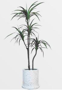 Quality Plastic Artificial Potted Floor Plants Indoor Evergreen Dragon Blood Trees wholesale