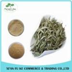 Health-care Product Instant Tea Powder Pure Natural White Tea Extract with