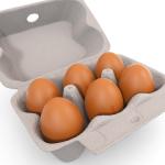 CE Certified Egg Carton Making Machine 6 Cells Tray Moulding