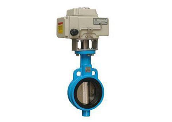 T304 , T316L Stainless Steel Sanitary Valves - Electric Actuated Sanitary