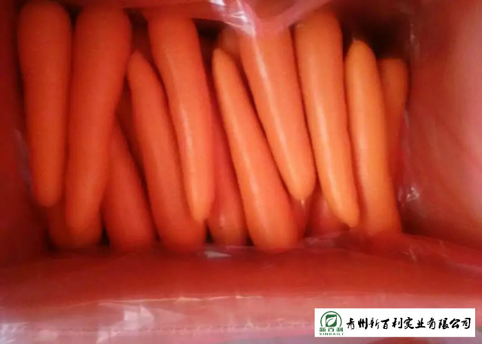 Nutritious Fresh Organic Carrots No Pesticide Residue Contain Carotene