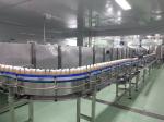 Professional Mini Meatball Ball Fish Ball Forming Machine Stainless Steel