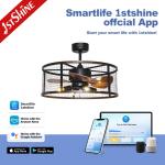 20 Inch Small Bedroom Ceiling Fan with Light MDF Blades Metal Cage Remote