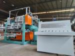 Rotary Egg Tray Machine Economic Speed 6s/times Waste Paper Consumption 150kg/h