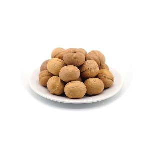 Quality Factory wholesale Hot sale 185/33/xin2/xingfu walnut in shell at cheap price Hot selling agricultural products wholesale