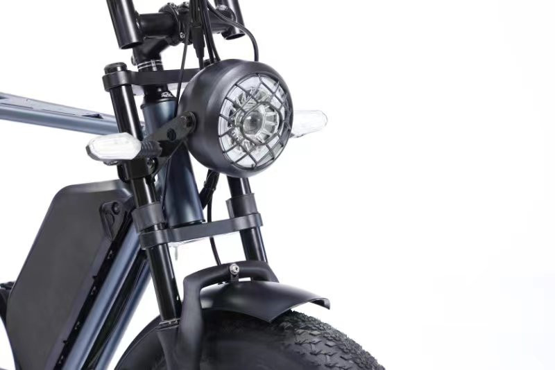 Full Suspension 48V Fat Tire Electric Bike 750W With LCD Display And Rear Hub Motor