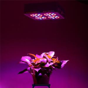 Quality cidly 4 140w LED lighting l.e.d grow lights led plant light wholesale
