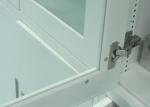 Acid And Alkali Resistance Biology Lab Furniture , Steel Medicine Cabinet