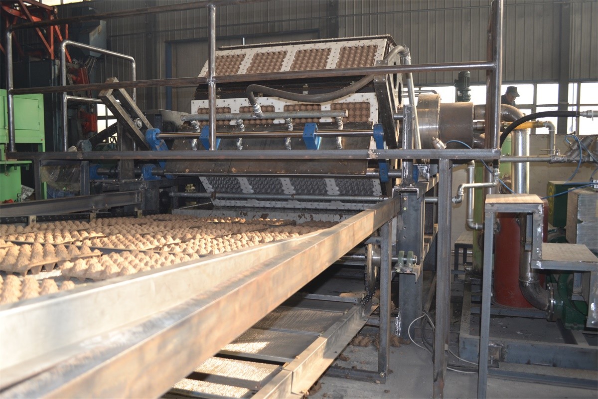 Waste Paper Recycle Egg Tray Machine/automatic Paper Pulp Egg Tray Production Line