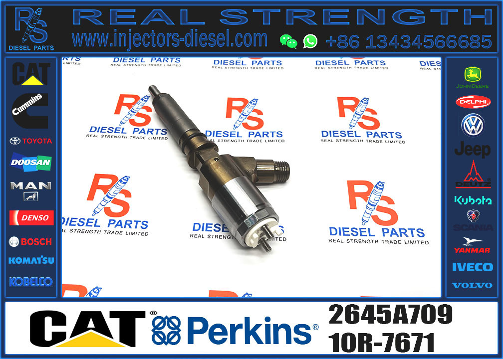 Common Rail Injector Assy 2645A709 295-9130 382-0480 282-0490 292-3780 306-9380 306-9390 310-9067