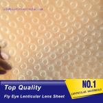 PLASTIC LENTICULAR fly eye lens microlens film sheet 3d plastic lenticular lens