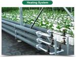 Galvanized Skeleton Cover Film for Agricultural Product in Shouguang Easy to
