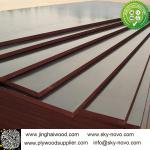 Brown film face plywood 18mm shuttering boards/formwork
