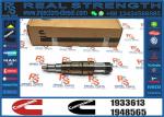 Diesel Common Rail Fuel Injector 1933613 Compatible