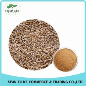 Quality Barley Malt Extract Powder Hordenine 98% wholesale