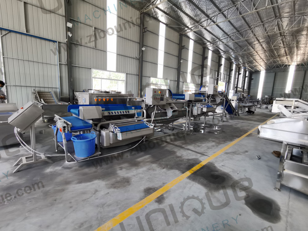 Restaurant and Food Processing Washing Machine Leafy Greens Baby Spinach Salad Vegetable