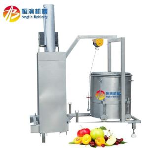 Quality Mango Pineapple Tomato Blueberry Juicer with 15%-20% Higher Yield and Extraction Rate wholesale