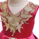 V-Neck Flower Girl Dress Champagne Lace Princess Dress Vestidos De Ropa Niña