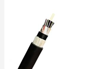 Quality GYFTY63 48 Core Outdoor Armored Fiber Optic Cable Longitudinal Steel Tape wholesale