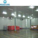 Temperature -18c Industrial Assembled Cool Rooms and Freezer Room with